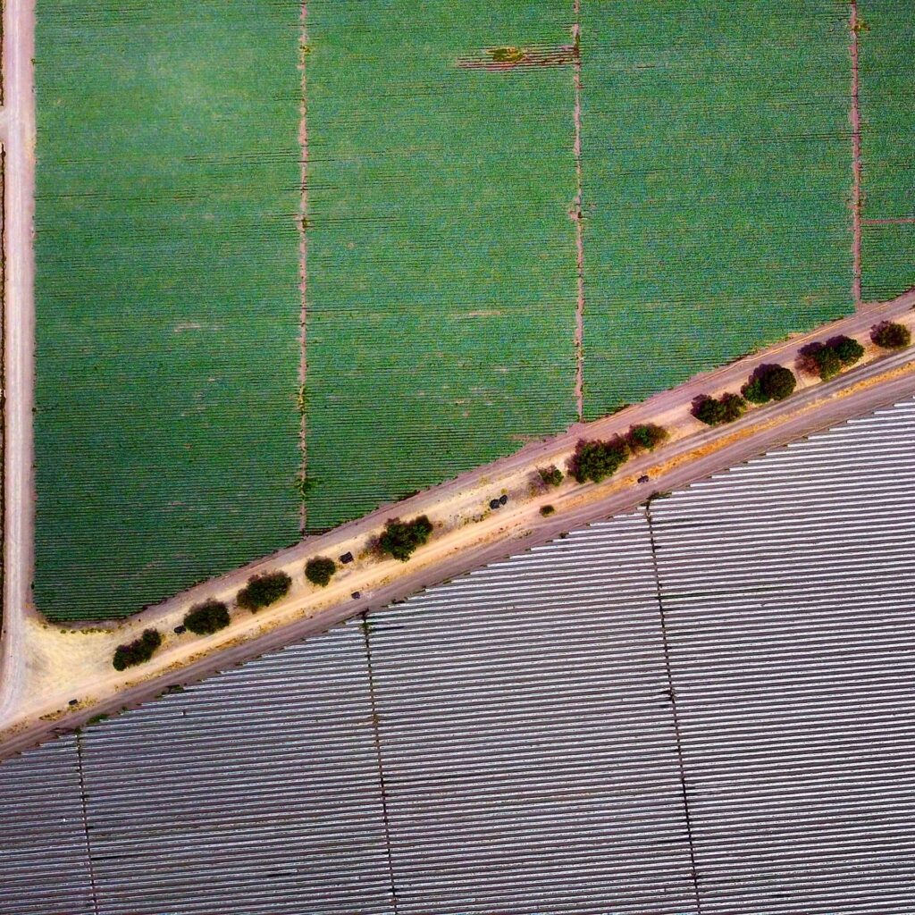 rotatia culturilor agricole